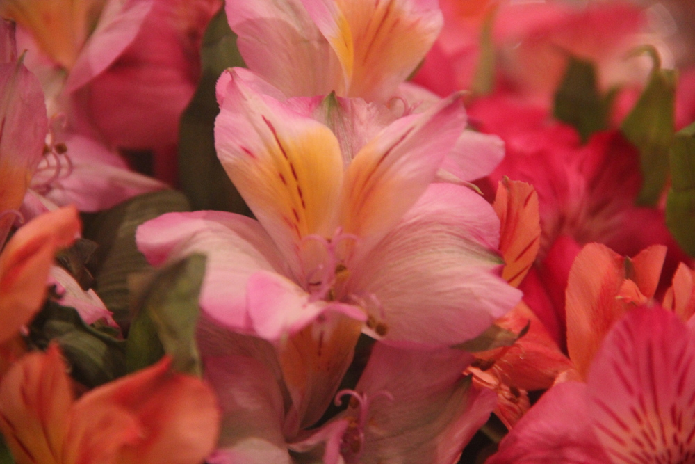 April Classes on Tuesday - Image 3